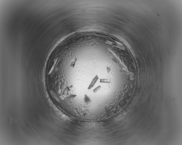 X0000072930949200608041212