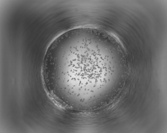 X0000072930952200608041212