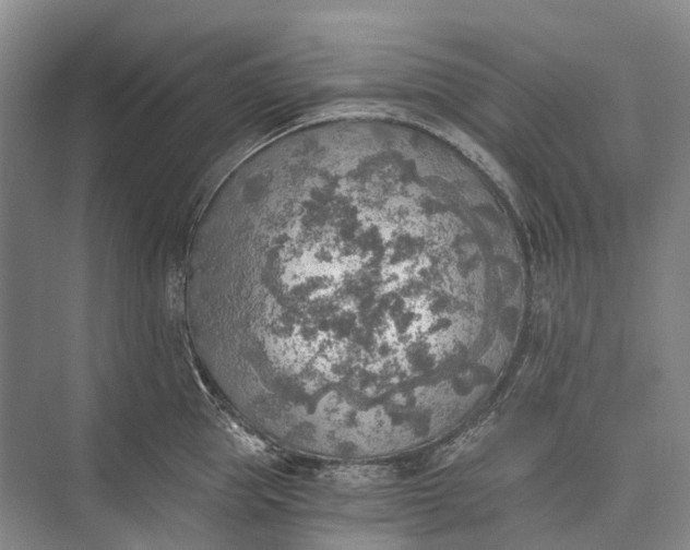 X0000072930953200608041212