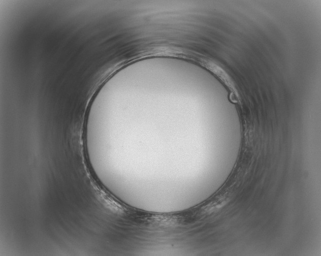 X0000072930954200608041212