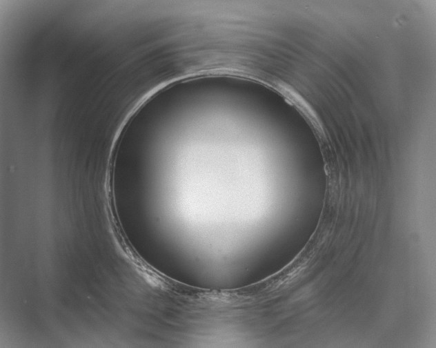 X0000072930956200608041212