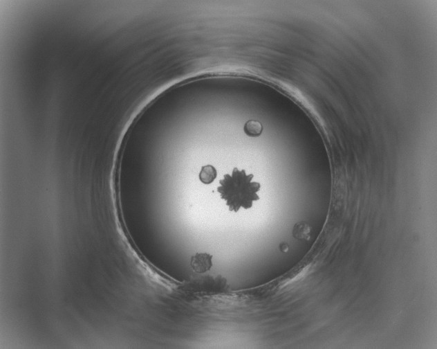 X0000072930959200608041213