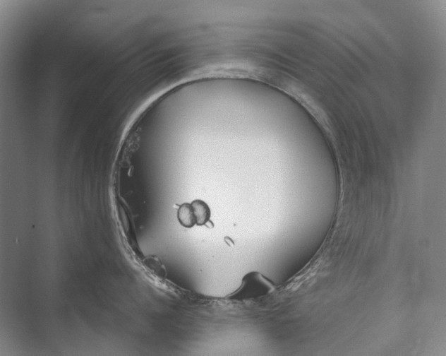 X0000072930960200608041213