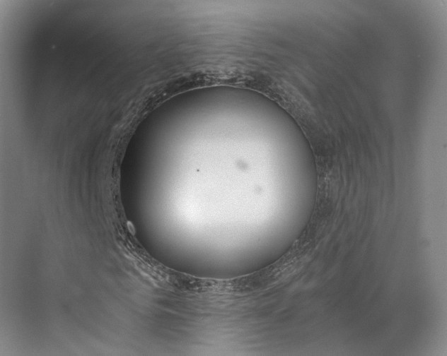 X0000072930961200608041212