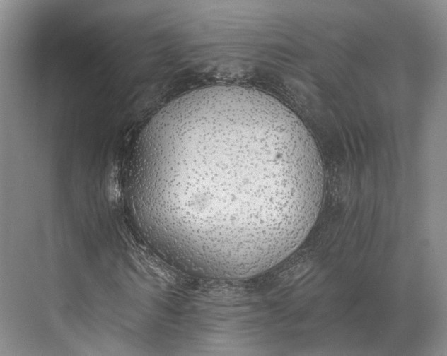 X0000072930962200608041212