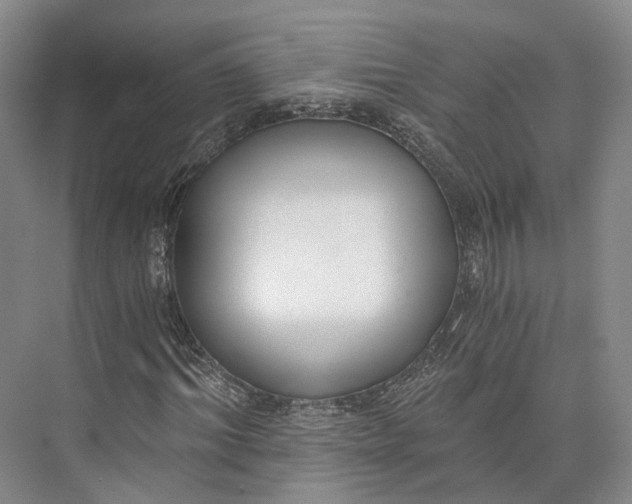 X0000072930964200608041212