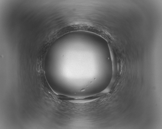 X0000072930965200608041212