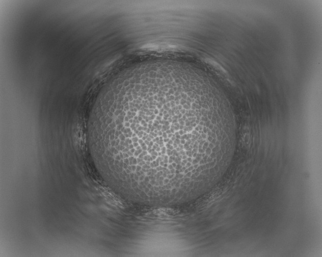 X0000072930966200608041212