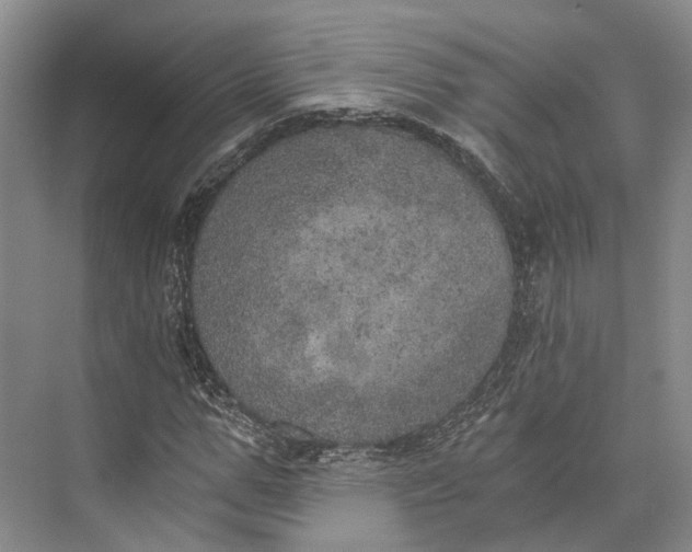 X0000072930967200608041212