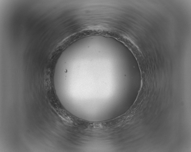 X0000072930968200608041212