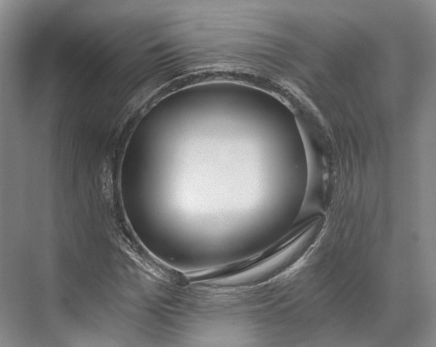 X0000072930969200608041212