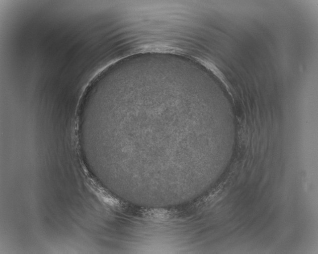 X0000072930971200608041212