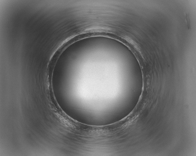 X0000072930973200608041212