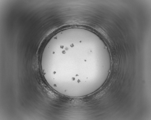 X0000072930974200608041211