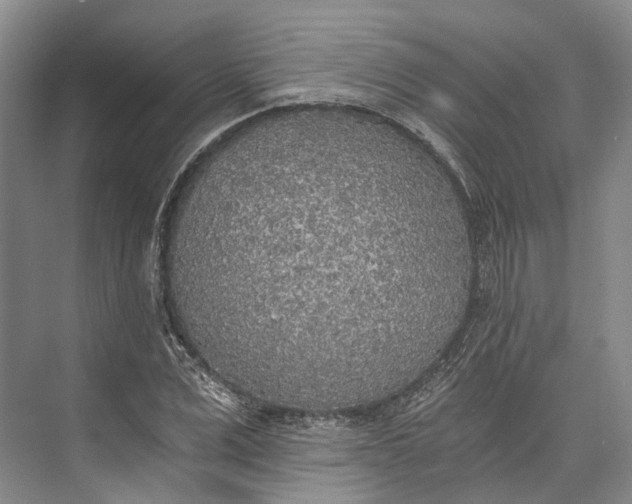 X0000072930975200608041211