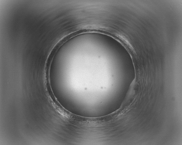 X0000072930976200608041211