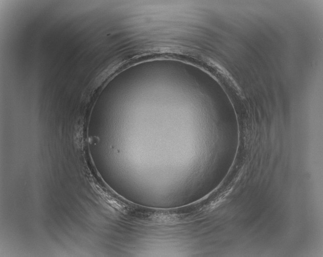 X0000072930977200608041211