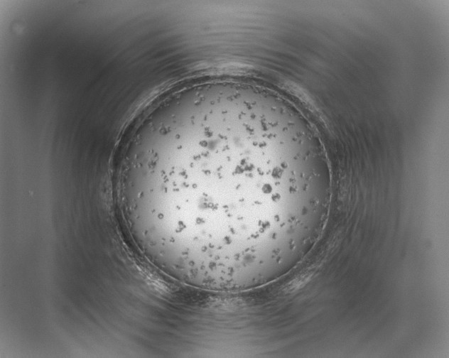 X0000072930978200608041211