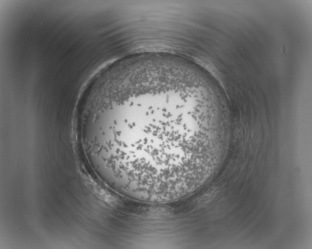 X0000072930979200608041211