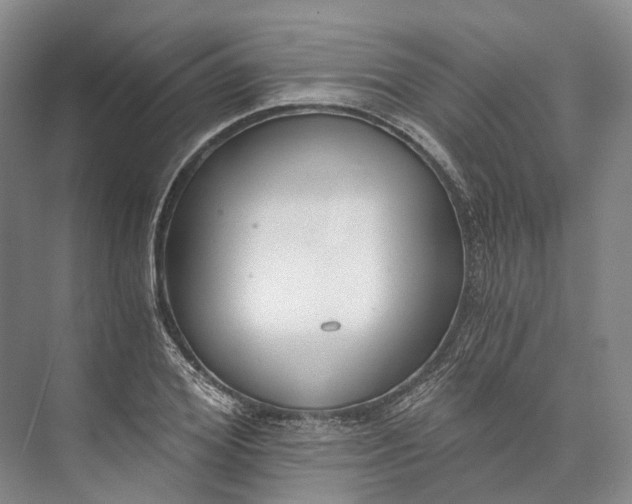 X0000072930980200608041211