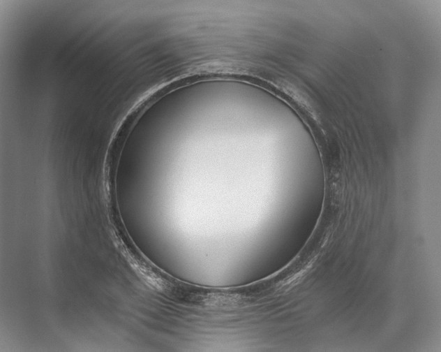 X0000072930981200608041211