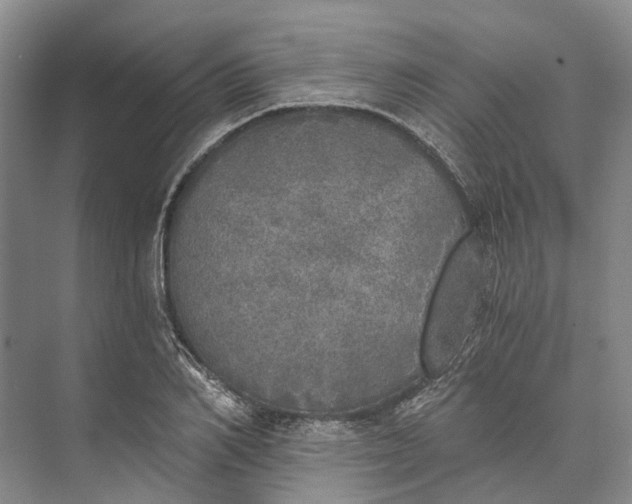 X0000072930982200608041211