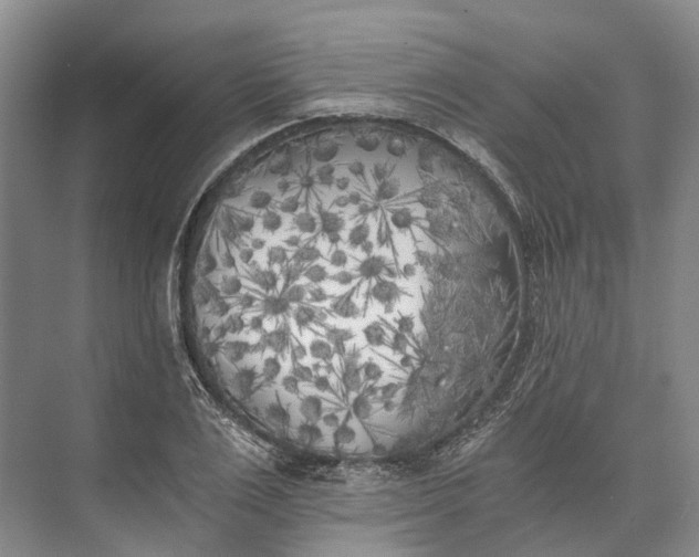 X0000072930983200608041211