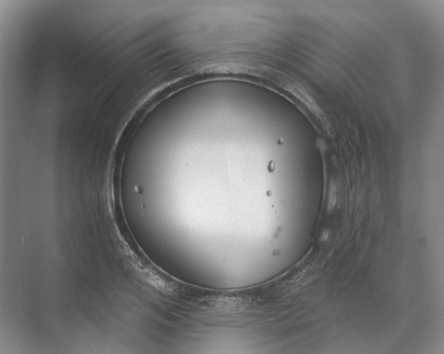 X0000072930984200608041211