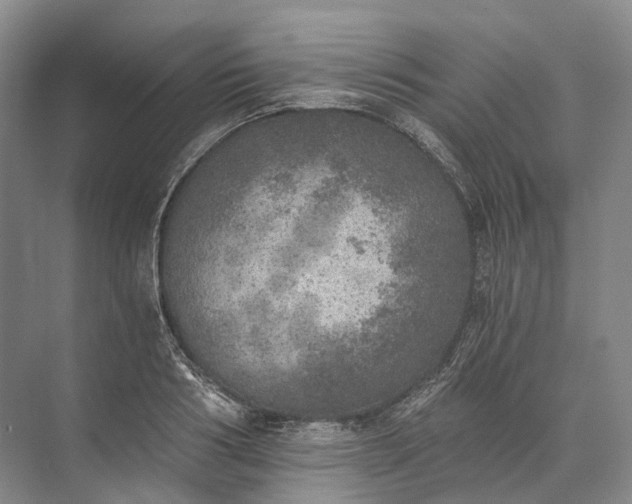 X0000072930986200608041211