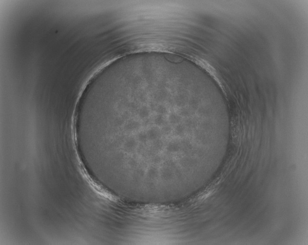 X0000072930987200608041211