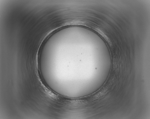 X0000072930988200608041211