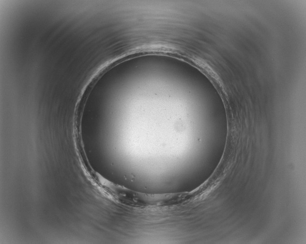 X0000072930989200608041211