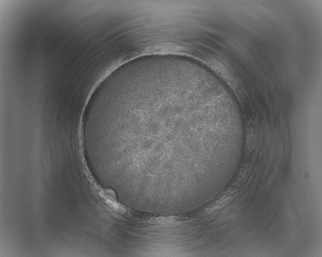 X0000072930990200608041211