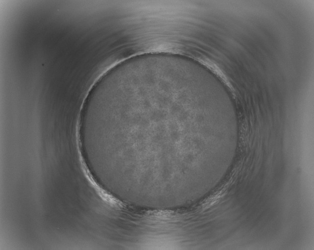 X0000072930991200608041211