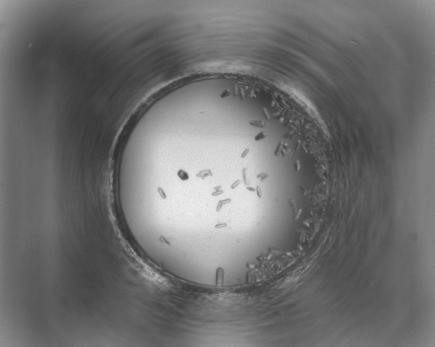 X0000072930992200608041211