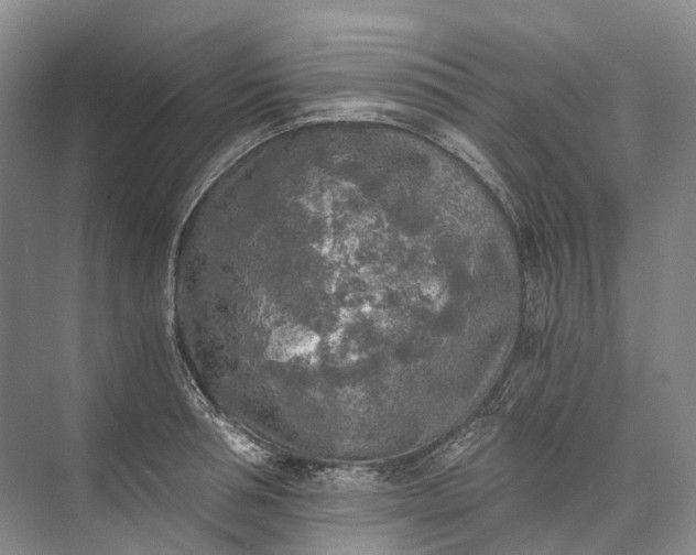 X0000072930994200608041211