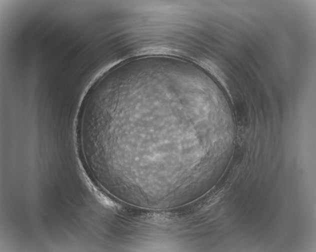 X0000072930995200608041211