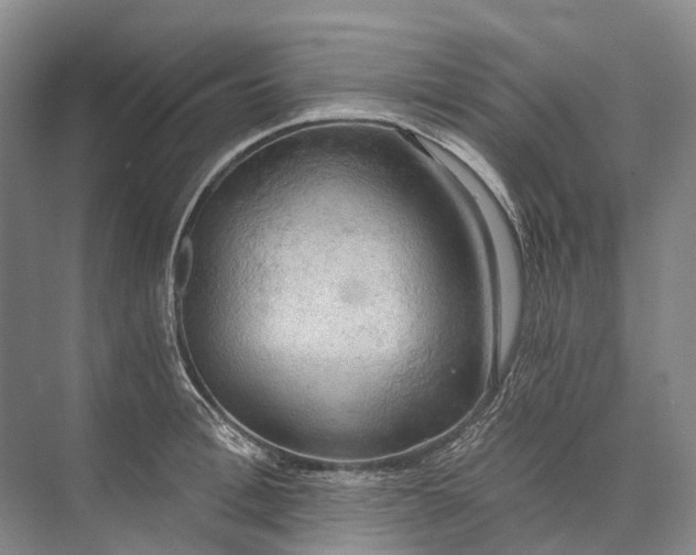 X0000072930996200608041211