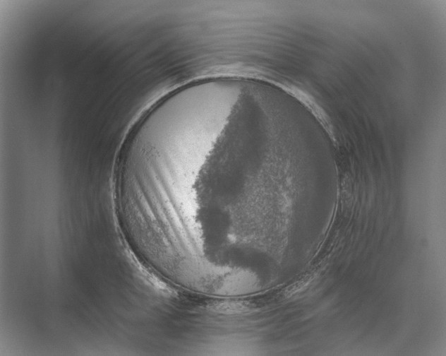 X0000072930998200608041211