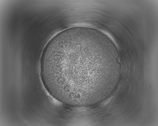 X0000072930999200608041211