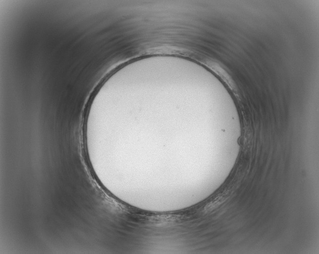 X0000072931000200608041211