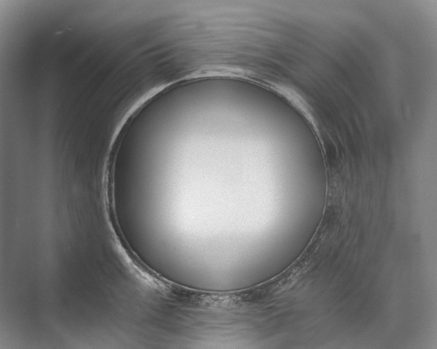 X0000072931003200608041211