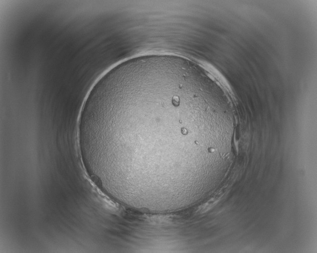 X0000072931004200608041211