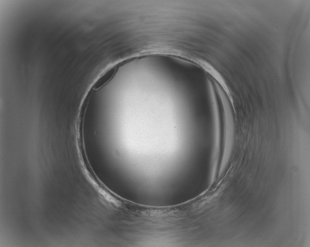 X0000072931005200608041211