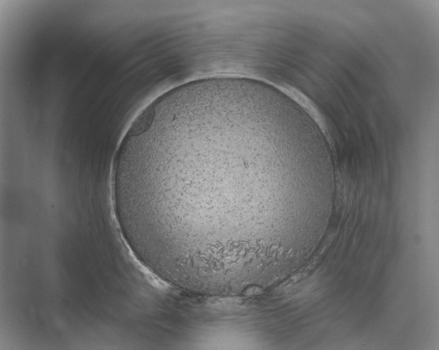 X0000072931006200608041211