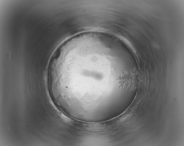 X0000072931007200608041211