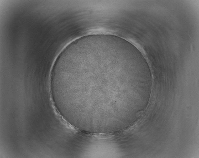 X0000072931008200608041211