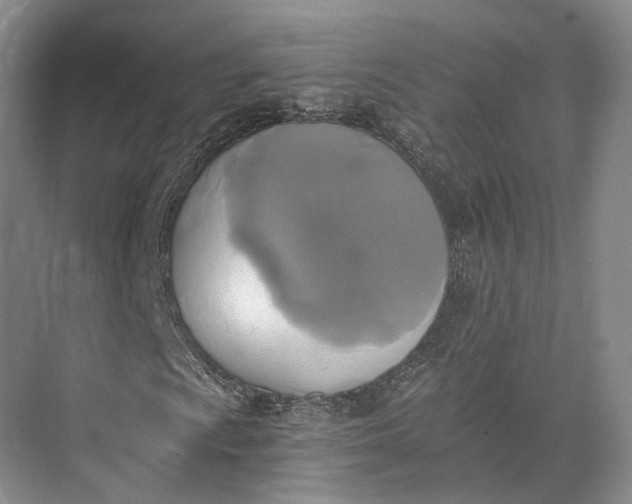 X0000072931009200608041210