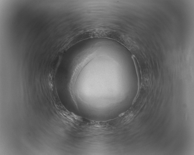 X0000072931010200608041210