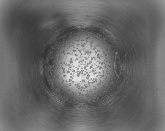 X0000072931012200608041210